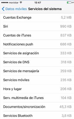 Detalle Servicios del Sistema iPhone.jpg