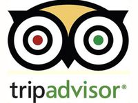 TripAdvisor-study-gives-insight-into-impact-of-reviews.jpg