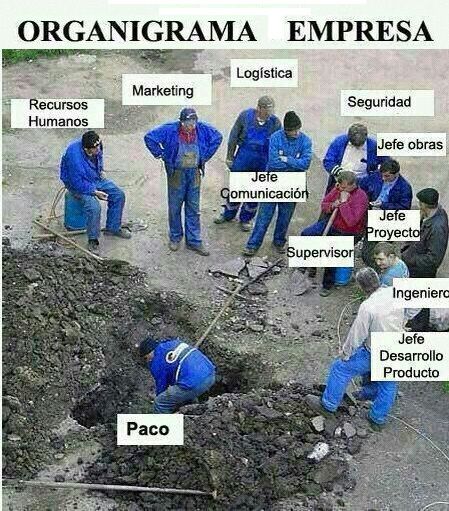 organigrama empresa.jpg