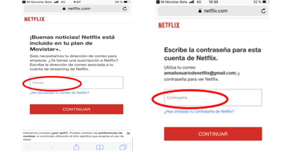 Credenciales Netflix.jpg