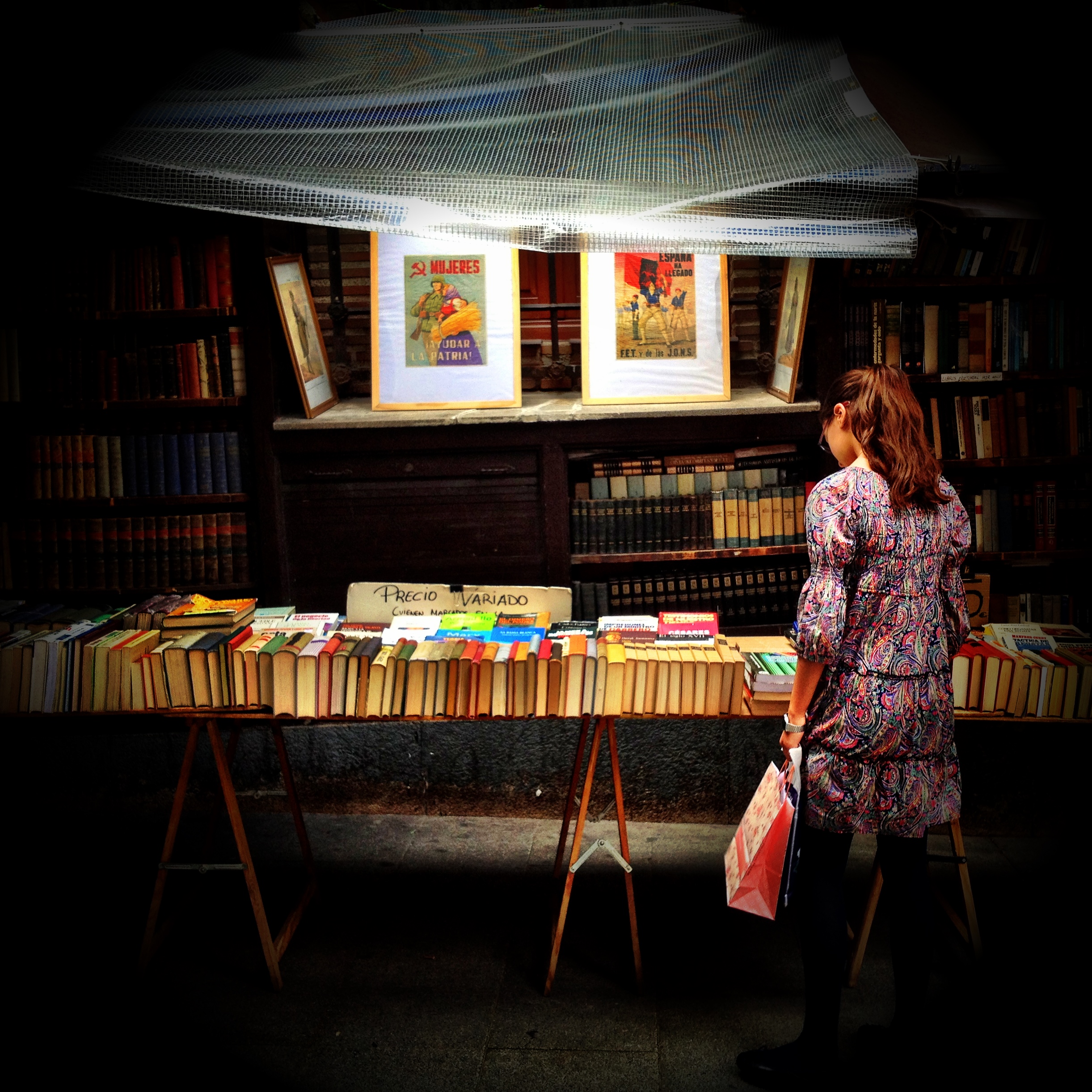 La buscadora de libros