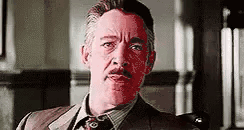 Imagen GIF-FA2426F50C09-1.gif