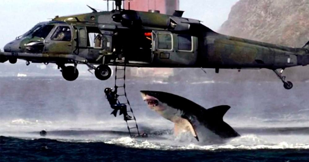 Imagen Fake TIBURÓN.jpg