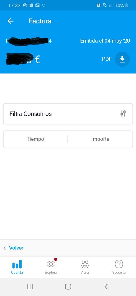 10 Factura mayo app detalle.jpeg
