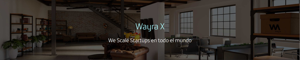 Wayra X.png