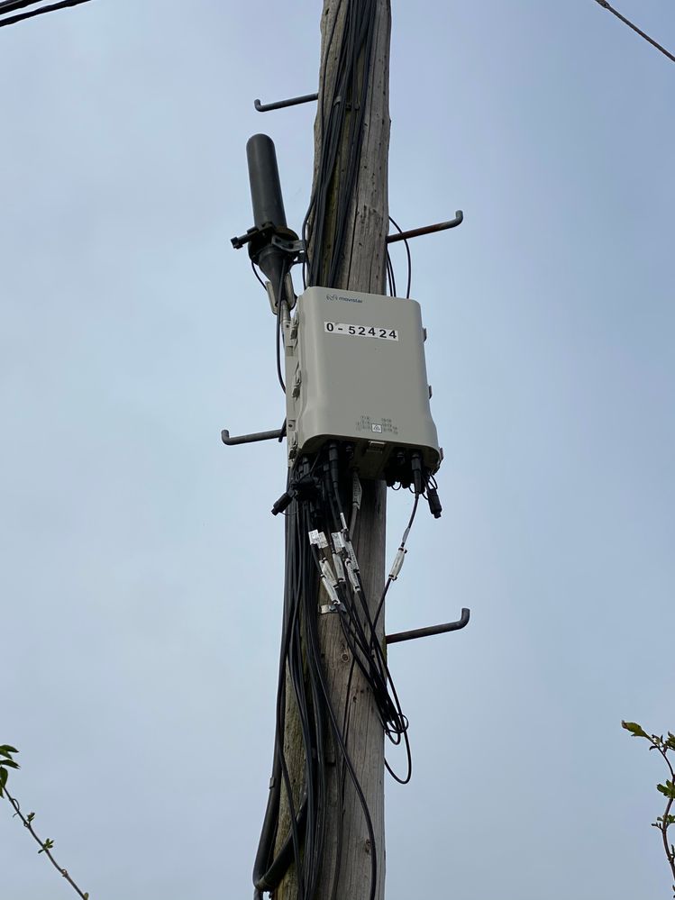 Cajetin fibra 0-52424 .jpg