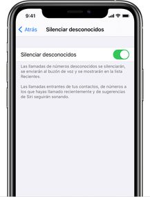 ios14-iphone11-pro-settings-phone-silence-unknown-callers-on.jpg