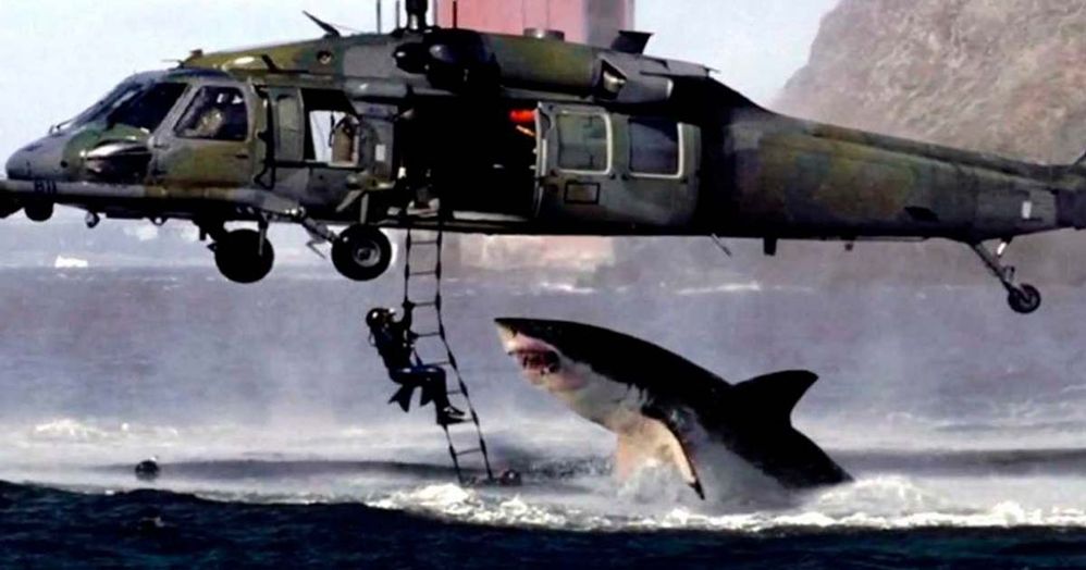 Imagen Fake TIBURÓN.jpg