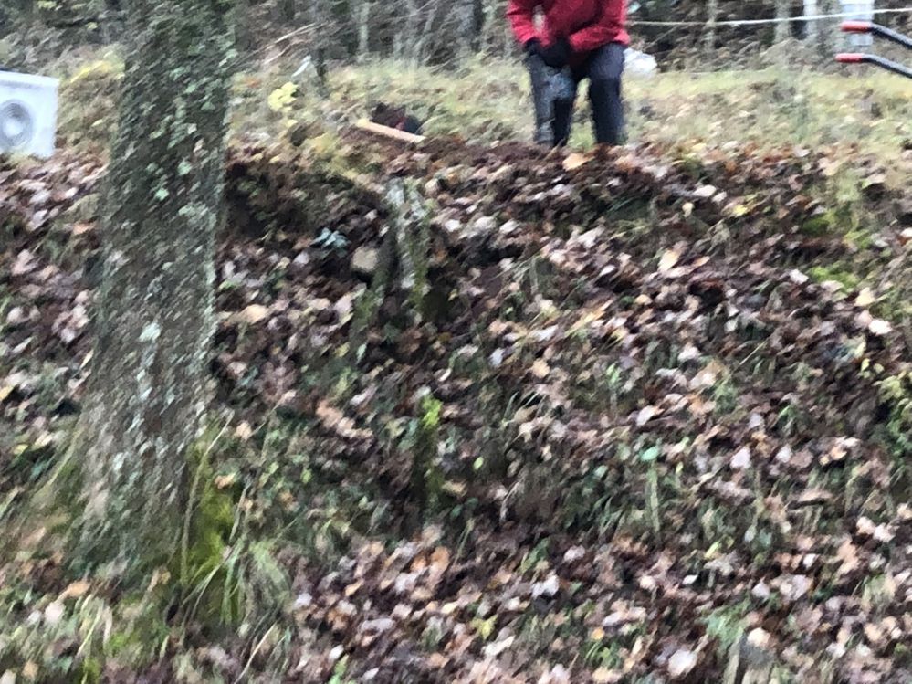 2021-11-27 11.55.30.jpg