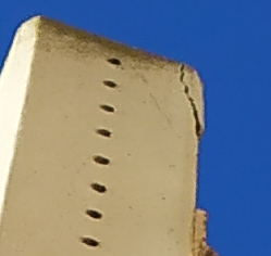Foto 1.png