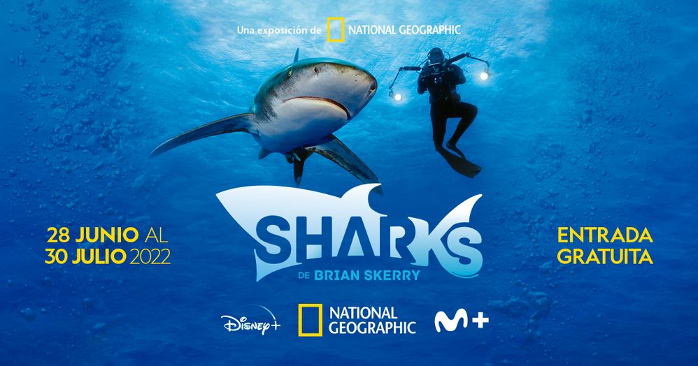 Sharks de Brian Skerry .jpg