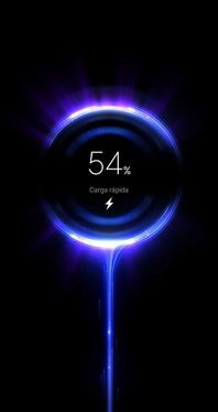 Carga Rapida pantalla.jpeg