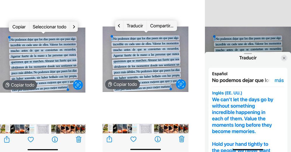 Traducir-imagen-iOS.jpg
