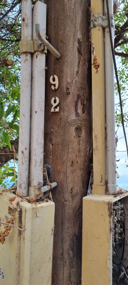 WhatsApp Image 2023-05-05 at 21.30.51.jpeg