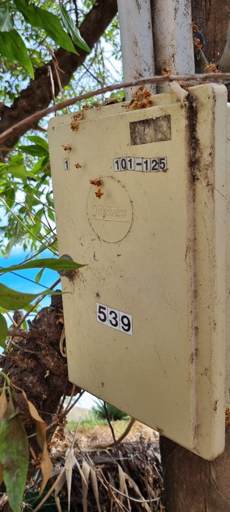 WhatsApp Image 2023-05-05 at 21.31.12.jpeg