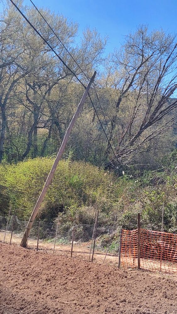 Poste teléfonico(2).jpeg