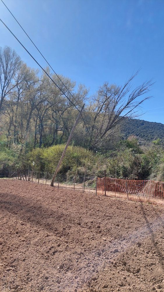 Poste teléfonico(3).jpeg