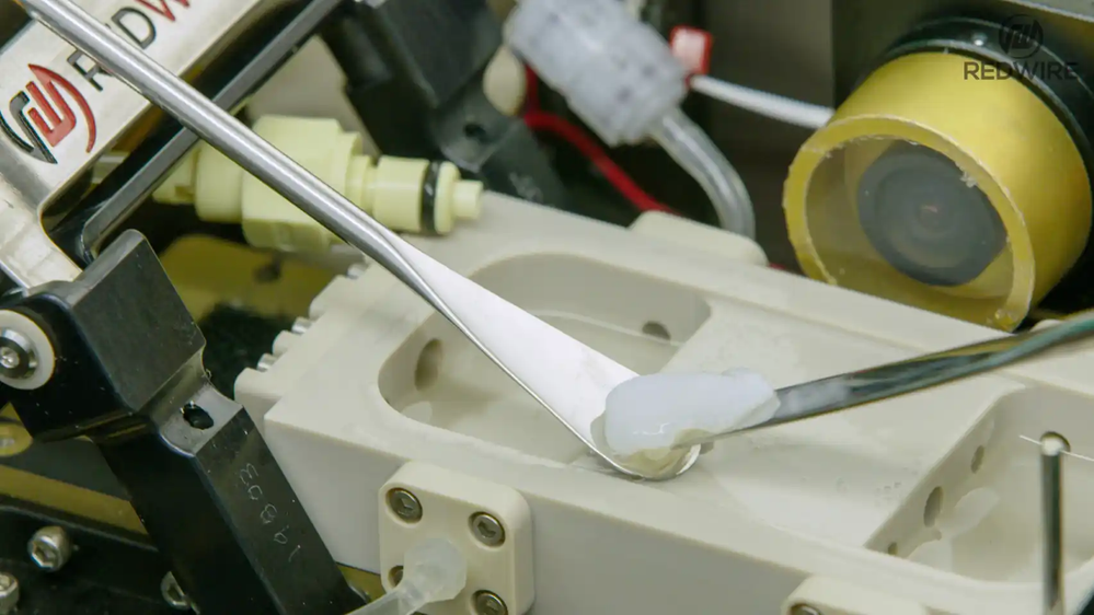 Recipiente en el que se introdujo el menisco impreso. Redwire Space