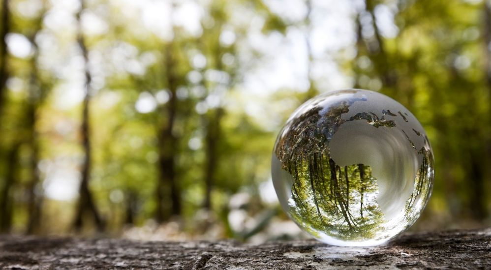 Telefónica acelera sus objetivos de reducción de emisiones en línea con las prioridades de la COP28