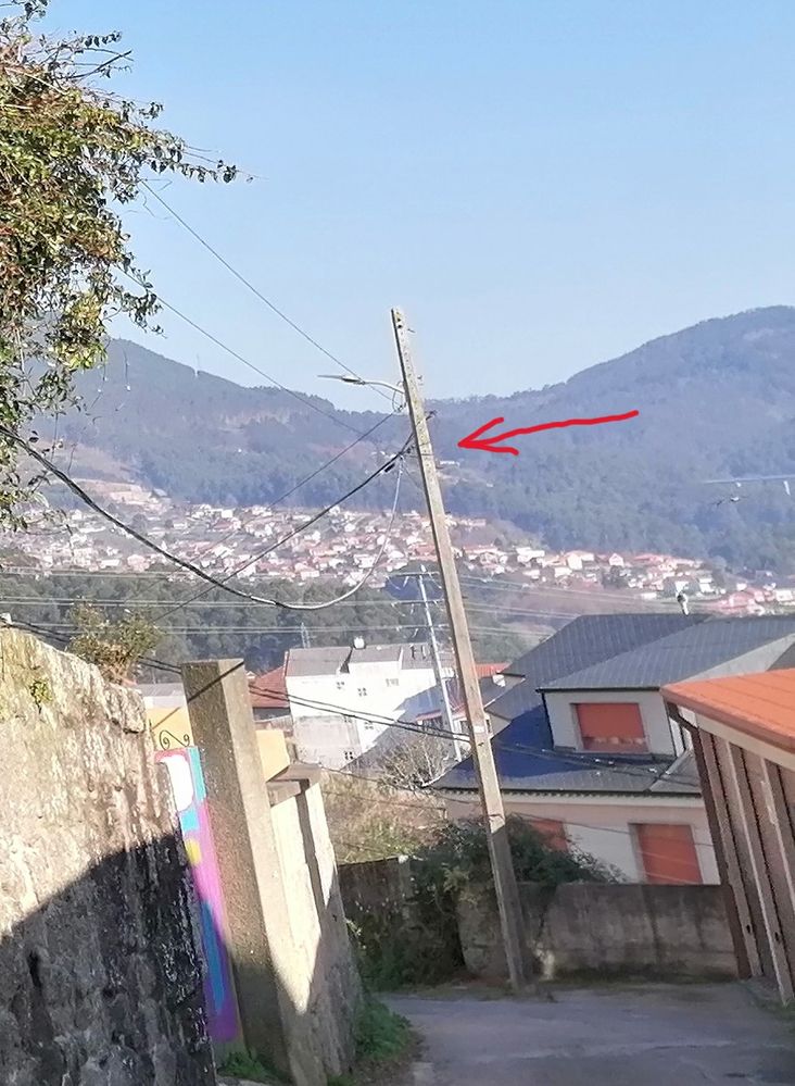 IMG_20240204_115717 Detalle.jpg