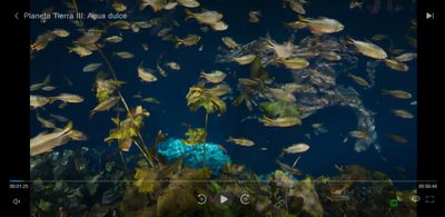 WhatsApp Image 2024-03-17 at 11.35.22.jpeg