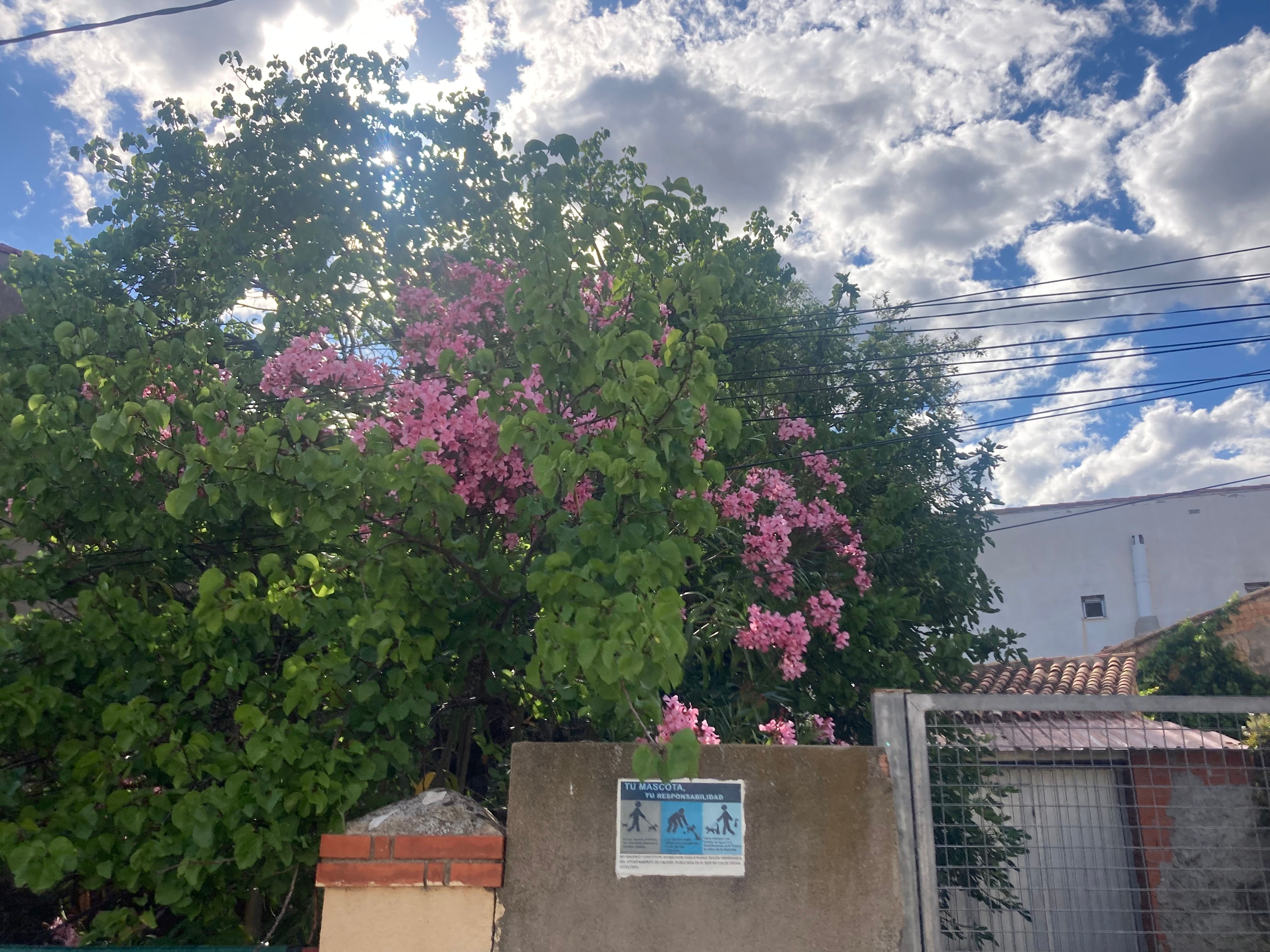 IMG_7488.jpeg
