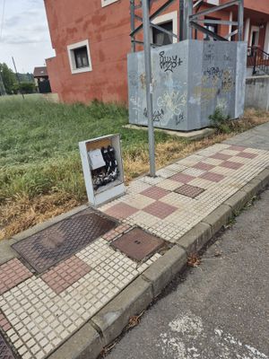 WhatsApp Image 2024-06-27 at 09.01.15.jpeg