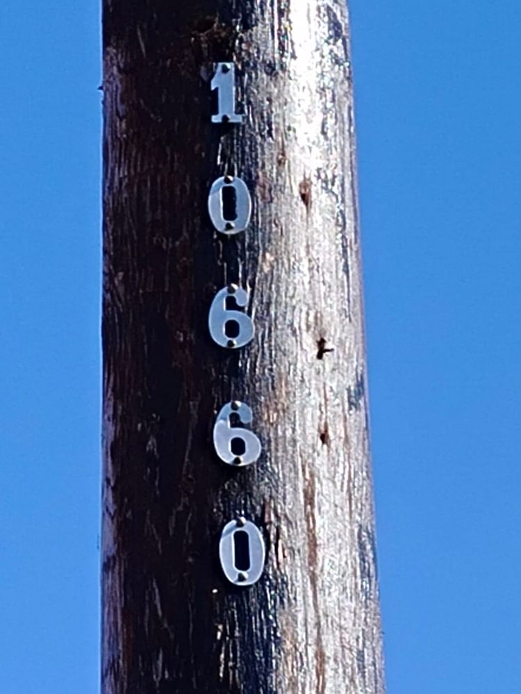 WhatsApp Image 2024-07-23 at 05.44.47 (2).jpeg