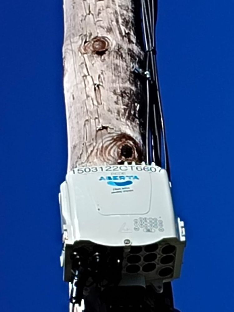 WhatsApp Image 2024-07-23 at 05.44.47.jpeg