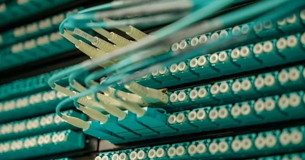 Fotógrafo: Brett Sayles - Imagen tomada de pexels.com