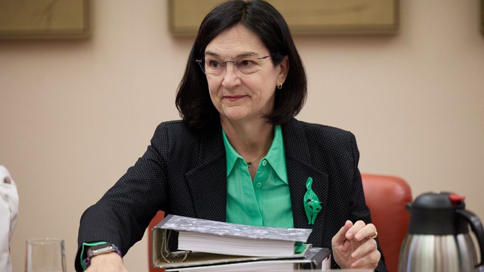 Cani Fernández, presidenta de la CNMC. | Jesús Hellín (Europa Press)