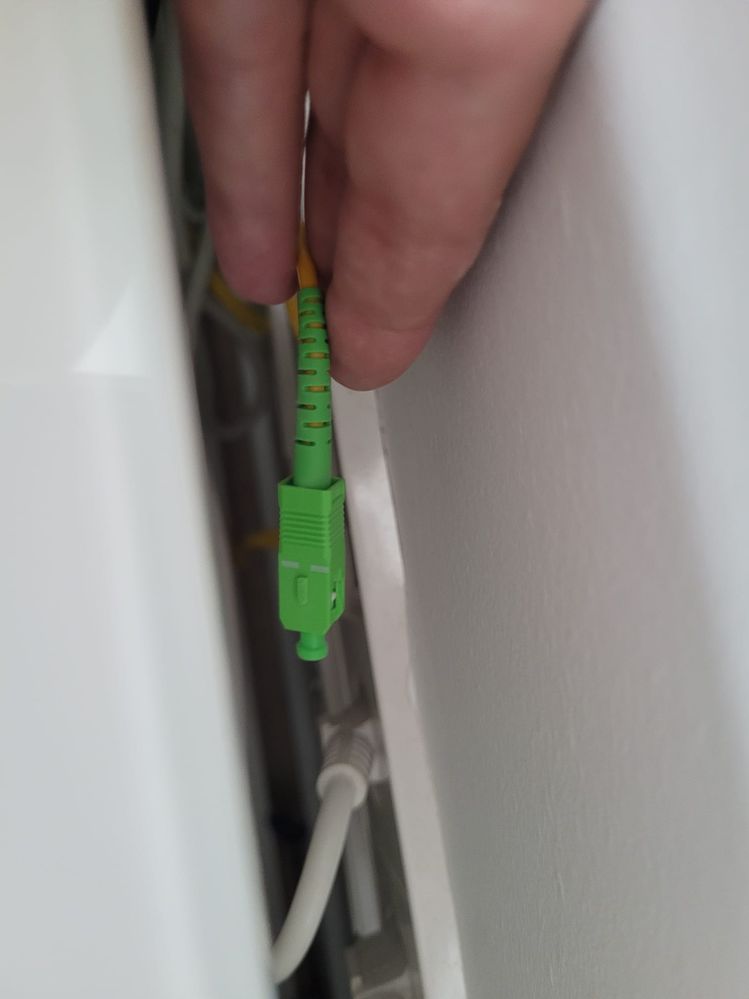 WhatsApp Image 2024-10-07 at 13.26.14.jpeg