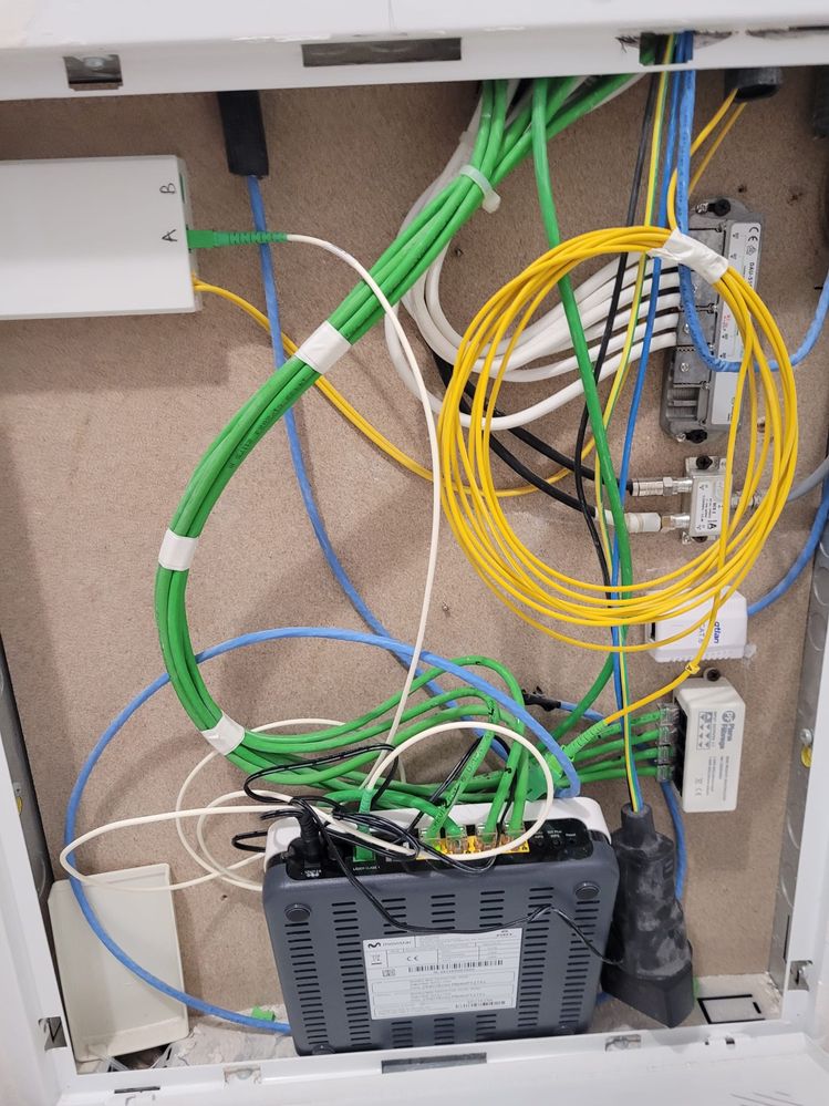 WhatsApp Image 2024-10-07 at 13.04.17.jpeg