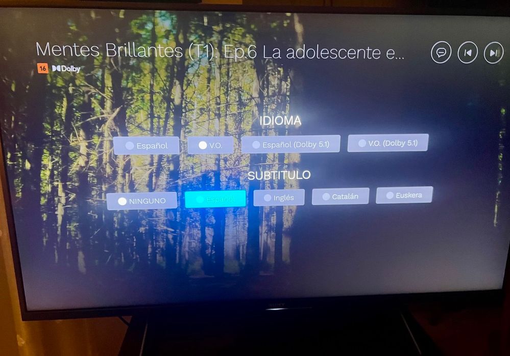 photo_2024-11-23 19.32.19.jpeg