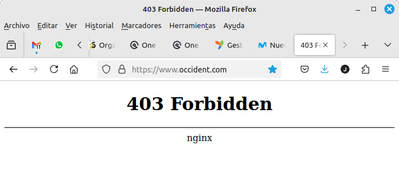 PGrillo_1-1734600261180.png