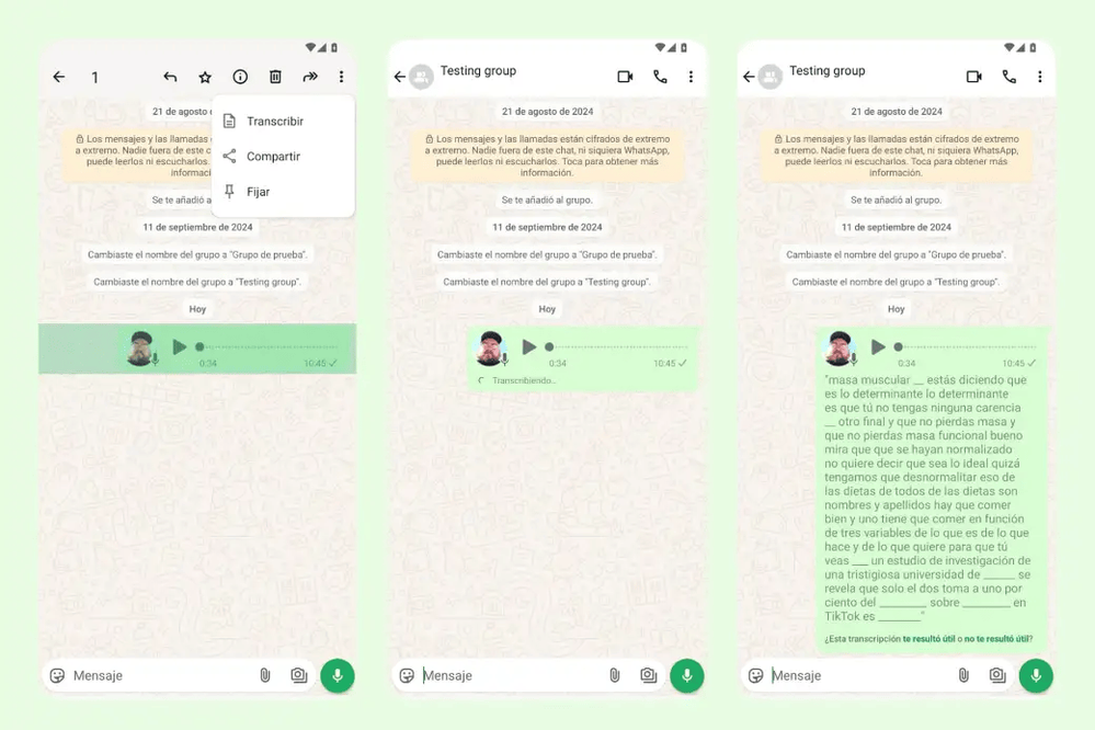 WhatsApp Ejemplo Transcribir Mensaje.png