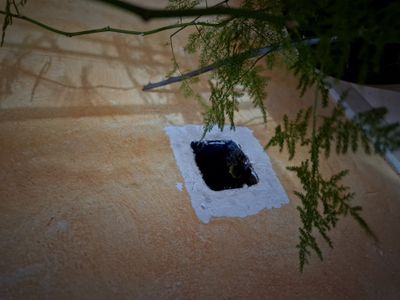 tapa_abierta_2 - copia.jpg