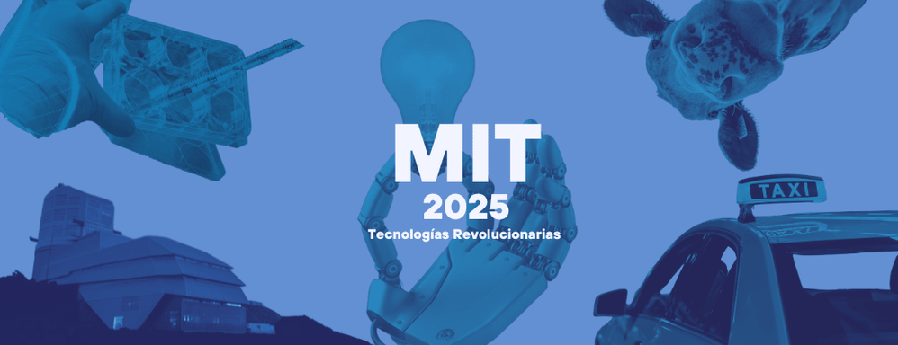 MIT 2025.png