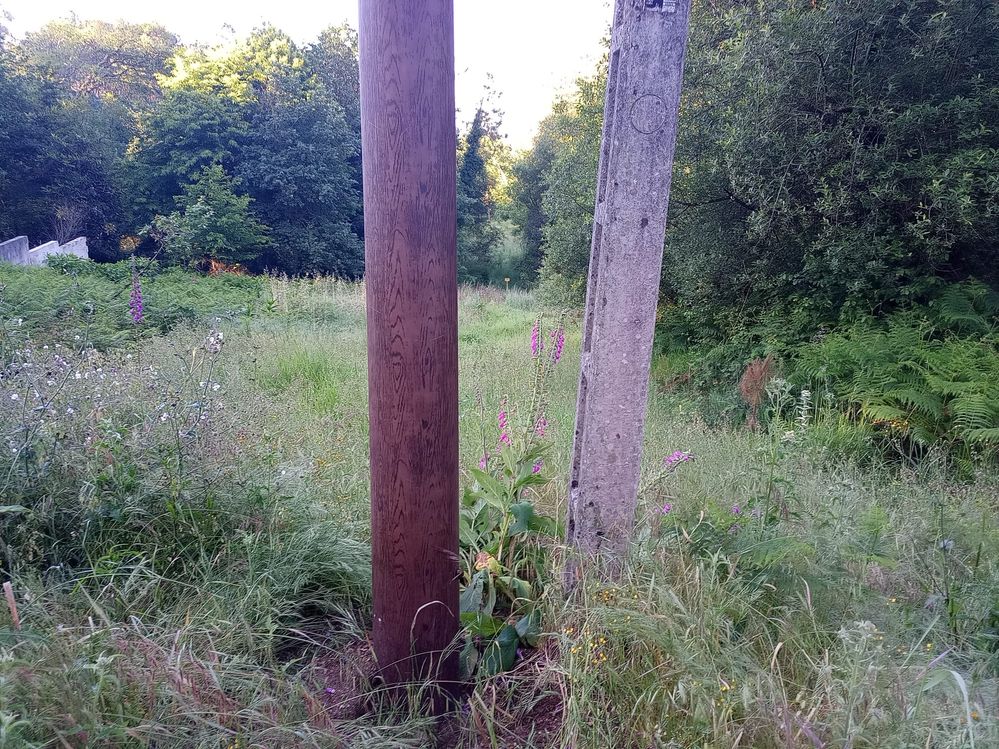 Poste en la traza 2024-05-24 at 08.45.30 (1).jpeg