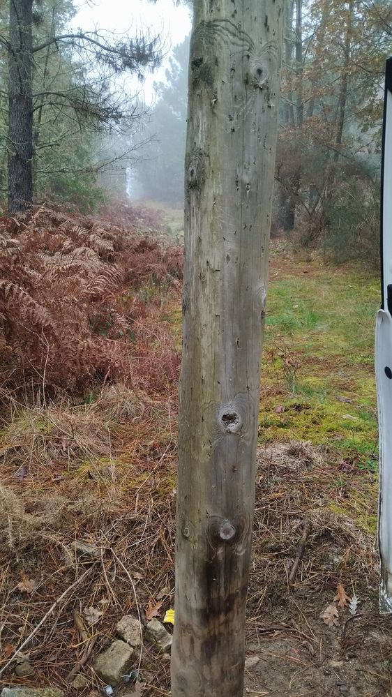 Detalle poste vista 2024-12-11 at 12.02.13 (1).jpeg