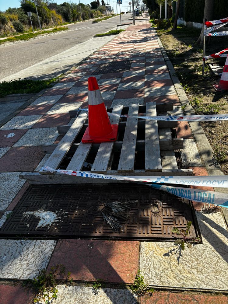 Imagen de WhatsApp 2025-02-26 a las 12.01.12_68cfa062.jpg