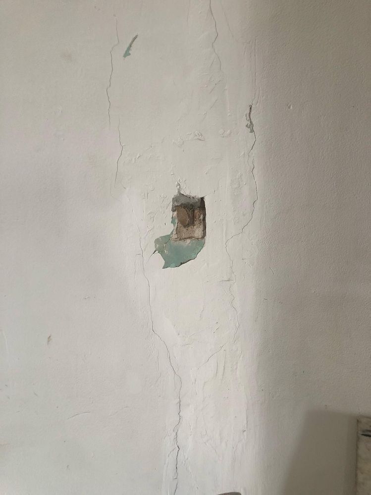 WhatsApp Image 2025-03-19 at 22.42.15 (2).jpeg