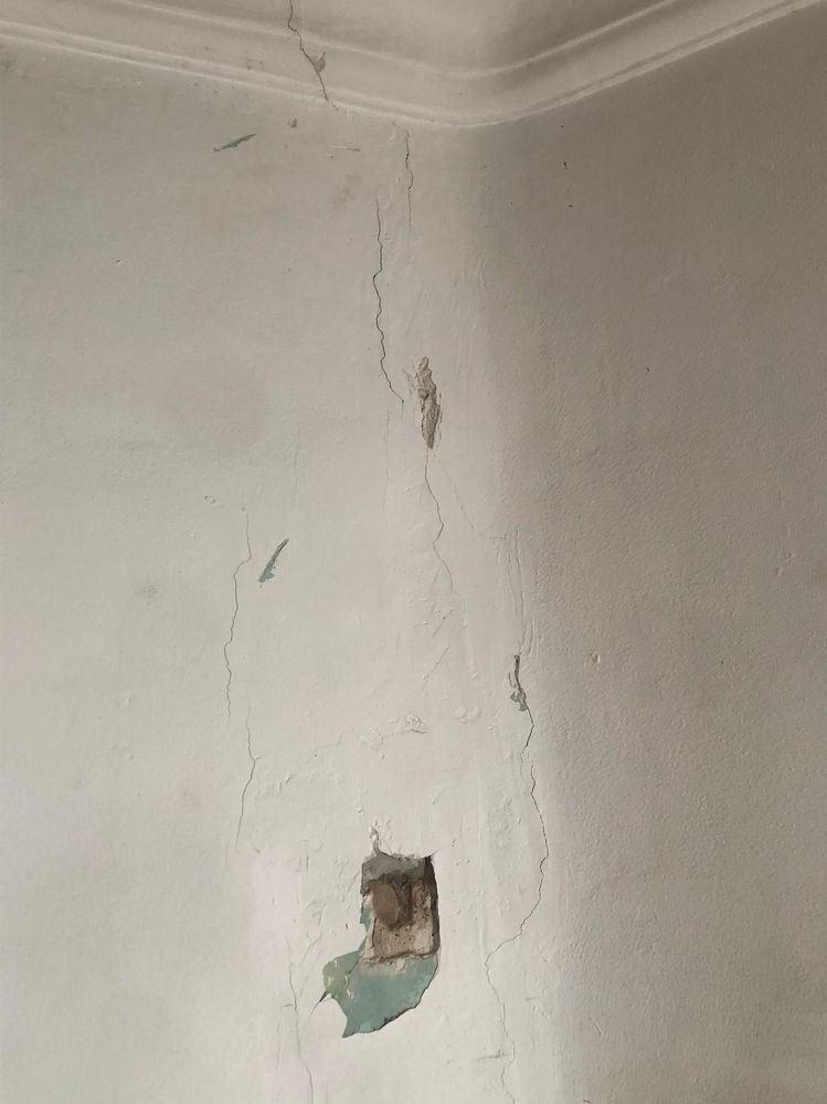 WhatsApp Image 2025-03-19 at 22.42.15.jpeg