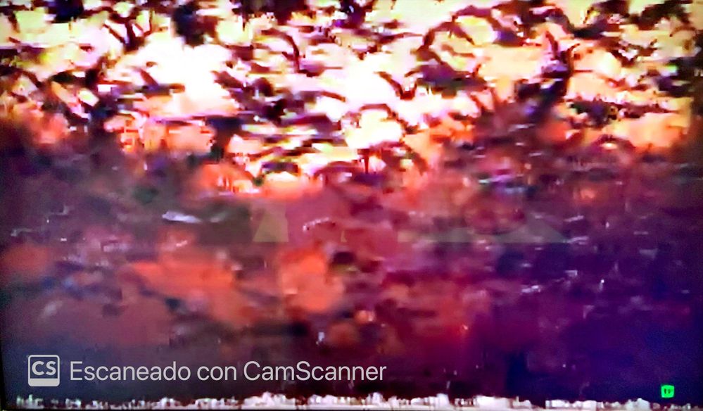 Capturas pantalla TVn_3.jpg