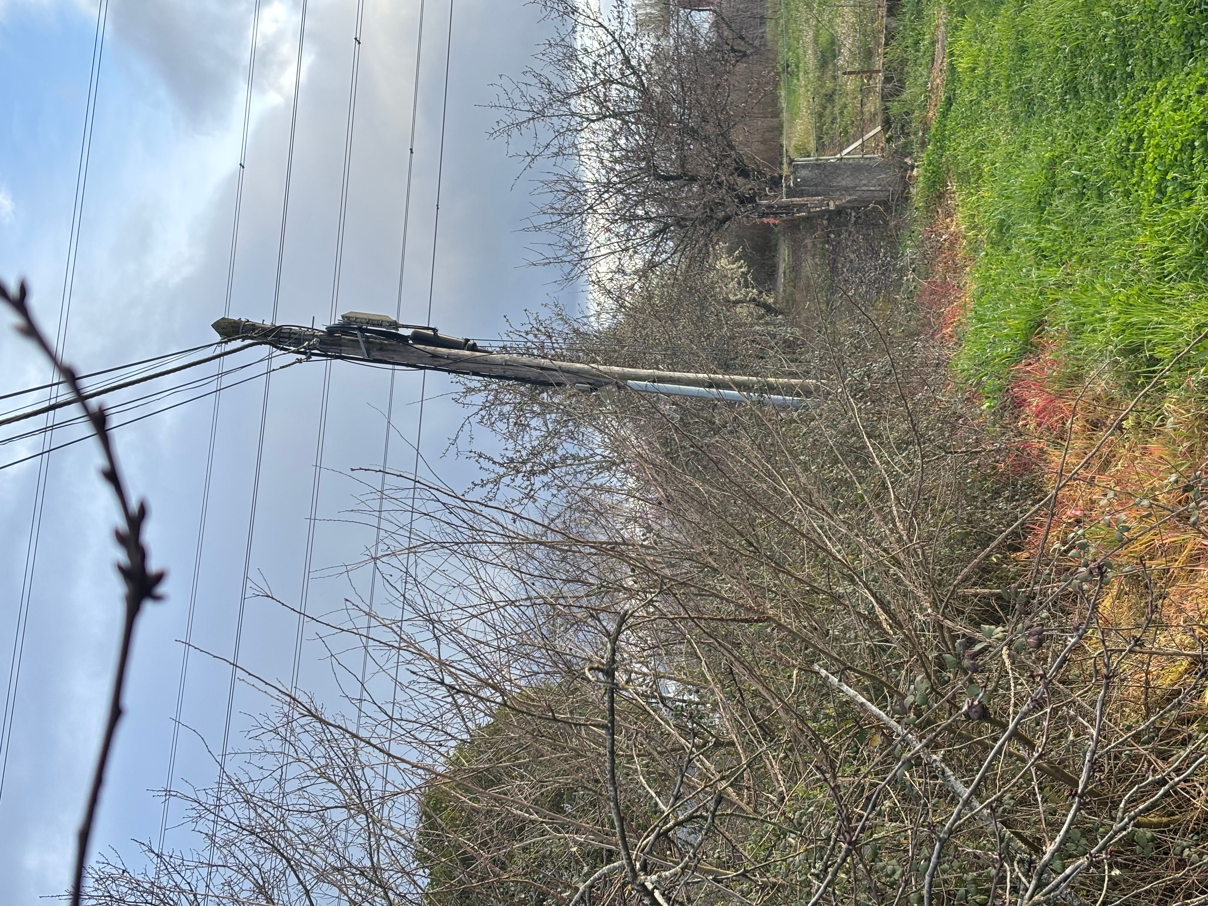 IMG_0226.jpeg