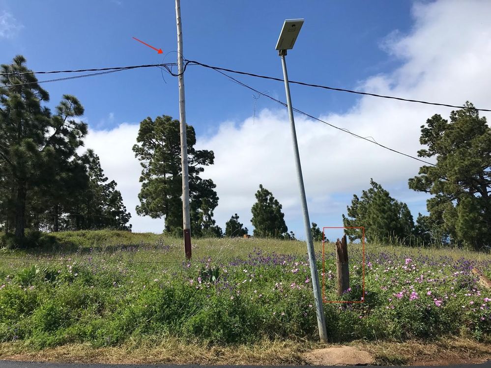 photo_2025-04-29 14.48.33.jpeg