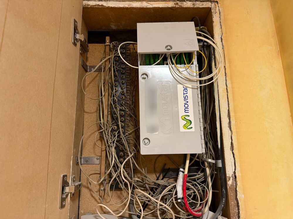 IMG_0790 en tamaño grande.jpeg