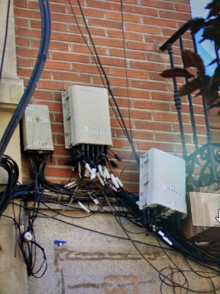 Imagen de WhatsApp 2025-06-20 a las 11.31.29_05c14aa4.jpg