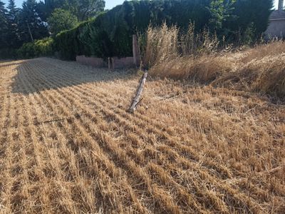 WhatsApp Image 2025-06-30 at 09.41.43.jpeg