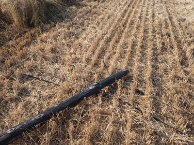 WhatsApp Image 2025-06-30 at 09.41.43 (1).jpeg